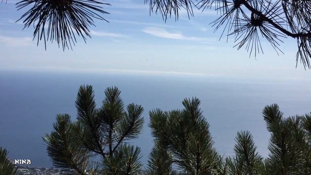 273. Удивительная Красота Природы Крыма. Гора Ай - Петри  под Прекрасную Мелодию Сергея Чекалина!