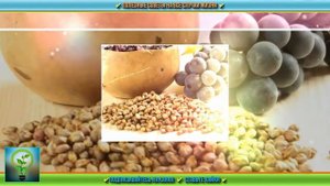 Список фруктов, которые надо есть с косточками. Польза фруктовых косточек для организма