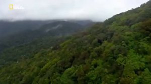 Австралия 🇦🇺. После Муссона.Необъятная планета 🌍 Земля. Дикая природа 24 часа.