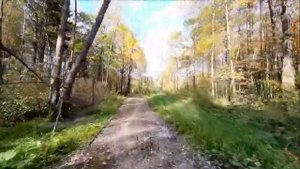 УЛЬЯНОВСКИЙ ЛЕСОПАРК