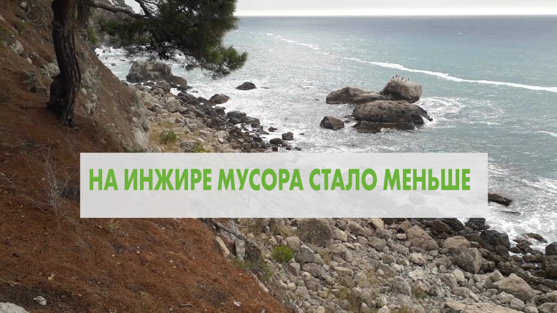 Интервью Андрея Тихомирова