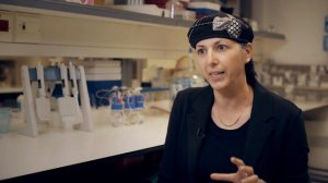 Shulamit Levenberg Vascularizing Engineered Tissue in Lab Technion