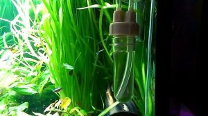 Счетчик пузырьков СО2  Лучший вариант. CO2 bubble counter.
