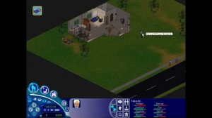 The Sims 1 - Burglar / Raccoon Bug