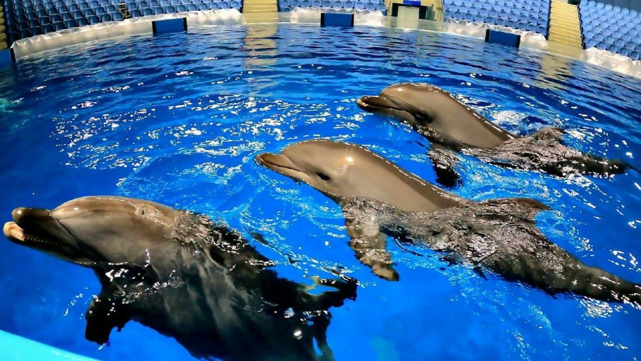 Остравок Счастья! смотреть онлайн