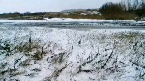 охота на зайца (русака)#ружьё мр 43 #