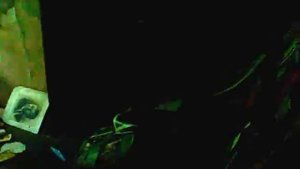 Заброшенный Пионерский лагерь ,,Искра,, - двадцать лет спустя.