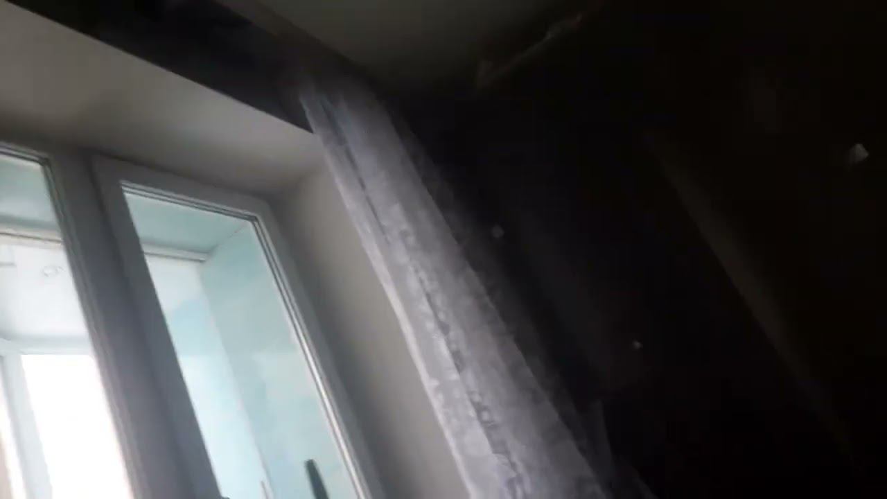 опасная киса (максим михин) смотреть онлайн