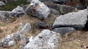 Мурманск ЖИЛСТРОЙ