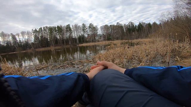 ОТКРЫЛСЯ ПО КАРАСЮ !!! Ловля карася на поплавок весной , май смотреть онлайн