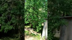 Село Едрово Валдайского района Новгородской обл. В гостях у родителей жены брата.