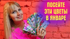 Посейте ЭТИ ЦВЕТЫ В ЯНВАРЕ! СУПЕР подборка ДЛЯ РАННЕГО ПОСЕВА