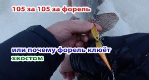 Удочку выбило из рук, поймал её уже в лунке. А там сюрприз...