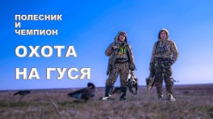 Полесник и Чемпион35 охота на гуся