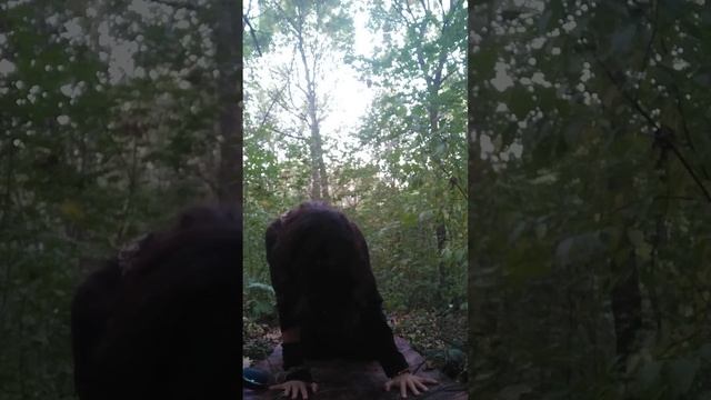 Стихия "Земля". Начало.