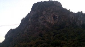 Поразительное зрелище: миллионы летучих мышей вылетают на охоту!