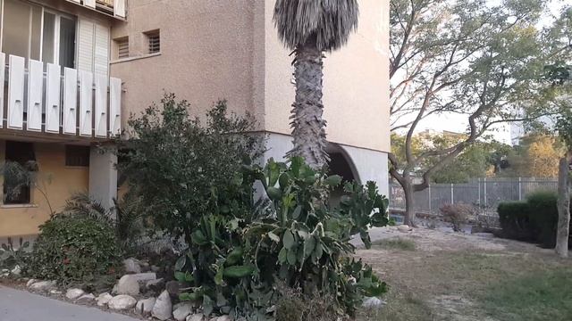 #israel#арад#relax.Арад жемчужина Израиля. смотреть онлайн