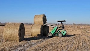 Мини погрузчик Maker 600 против рулонов (тюков) соломы!