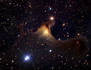 Неосторожное слово