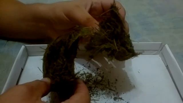 Просто не совместимые вещи солома и бетон. (Соломобетон / саломабетон) смотреть онлайн