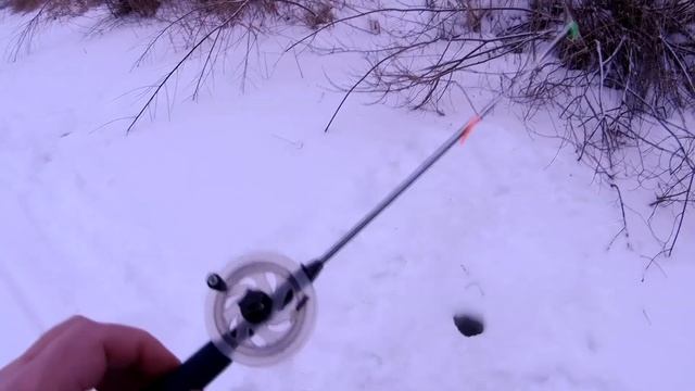 Глухозимье... Безмотылка Vs.  мормышка с мотылем