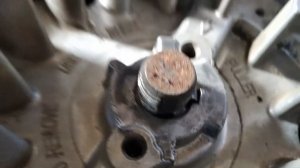 Газонокосилка Viking  BRIGGS STRATTON классическая проблема для России