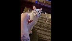 Обзор Rain World | Первая часть | Лучшая игра про Экосистему?