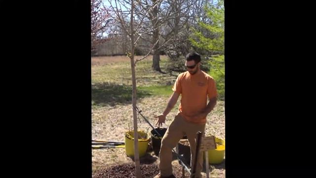 NWBELLA'SPECIAL - Watch it Again | Arbor Day - Polly Hill Arboretum смотреть онлайн