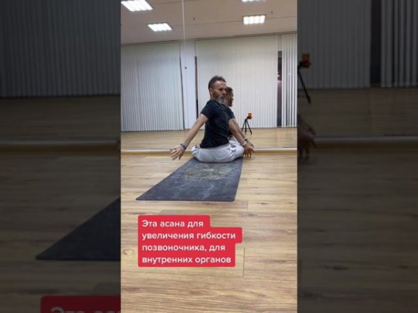 Эта асана продвинутого уровня. Выполнять под руководством наставника
