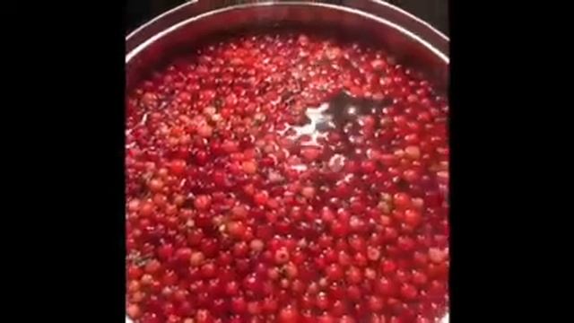 Морс «Карамельная брусника»   Наталья Зернова