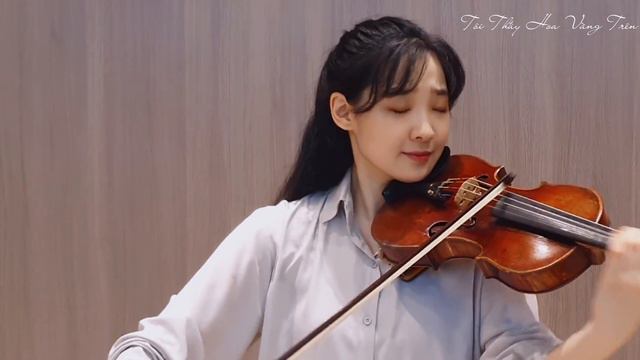 [Ái Minh Violin Cover] Tôi Thấy Hoa Vàng Trên Cỏ Xanh | Độc tấu violin hay nhất смотреть онлайн