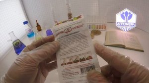Тыква Кустовая Оранжевая. Гавриш