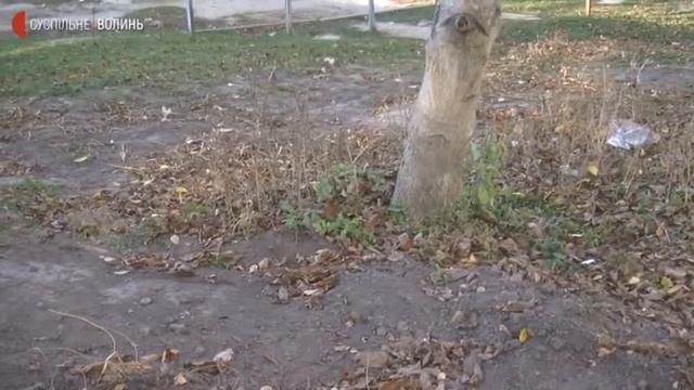 Компостер в ОСББ смотреть онлайн