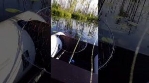 Озеро большой Мартын Республика Марий - Эл