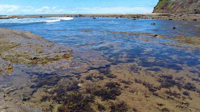 Сиднейский пляж. смотреть онлайн