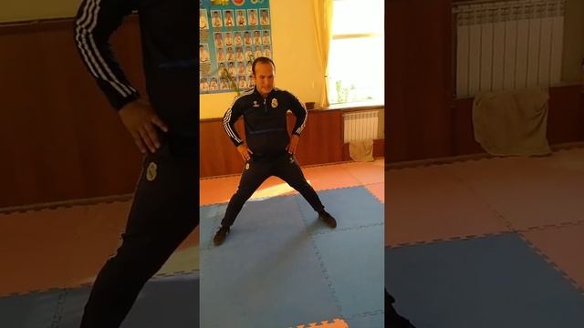 Гимнастика. Опорные прыжки.