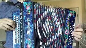 Гармонь шуйская sz51xl