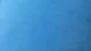 Ловля щуки на банки летом