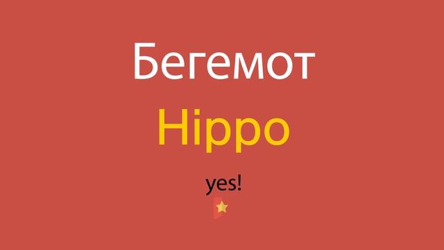 Бегемот по-английски смотреть онлайн