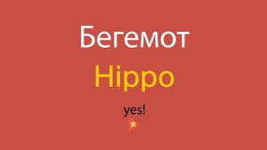 Бегемот по-английски