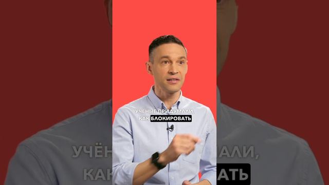 Как вы относитесь к благородным сырам с плесенью? 🧀