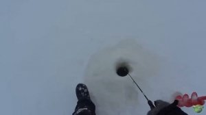 Ловля судака на Каме