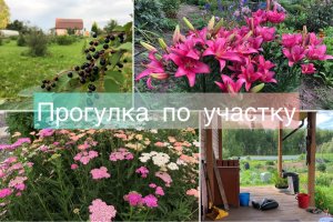 Прогулка по участку