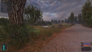 S. T. A. L. K. E. R. Shadow Of Chernobyl 2020. Как уйти от сидоровича и выполнить приказ волка.