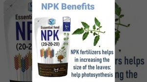 Shiviproducts | What is NPK 20 20 20 Fertilizer and how to use it