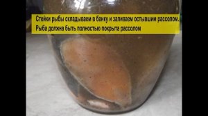 Как засолить красную рыбу в рассоле со специями?