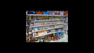 Как открыть зоомагазин