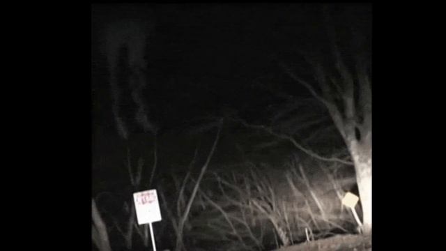 НОЧЬ (Дёготь поэзии) смотреть онлайн