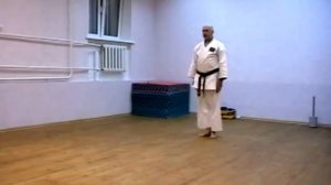 пинан шодан сито рю карате до кофукан