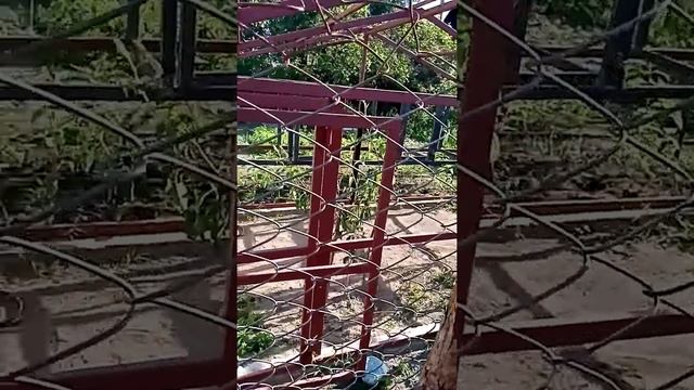 Клетка вальтер для кроликав